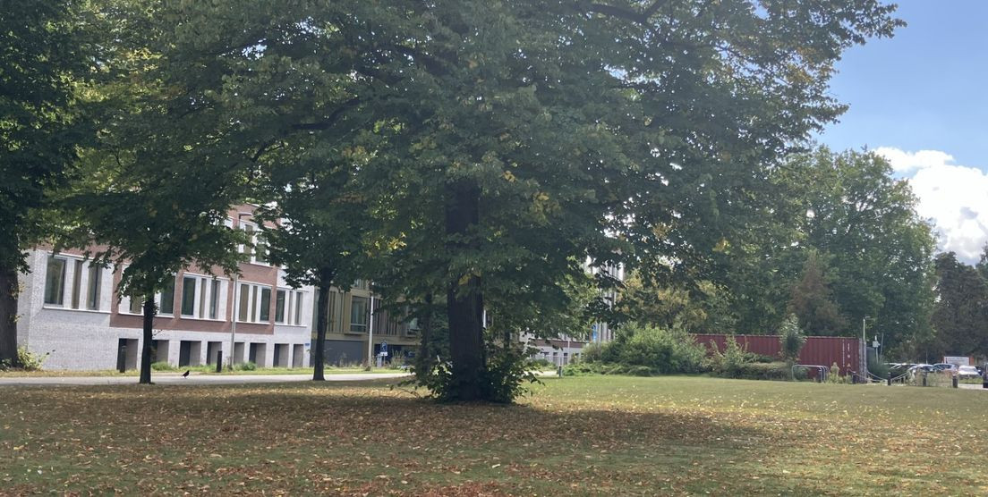 Op het terrein van Antes in Poortugaal komt een nieuwe woonwijk met 525 woningen